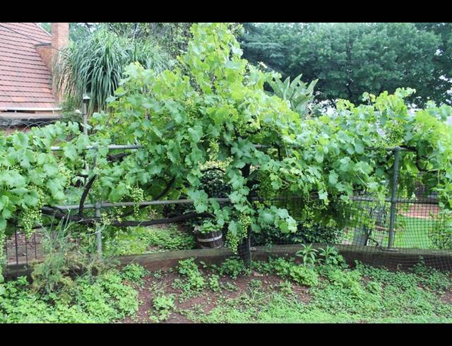 3 BEDROOM HOUSE FOR SALE IN CYRILDENE